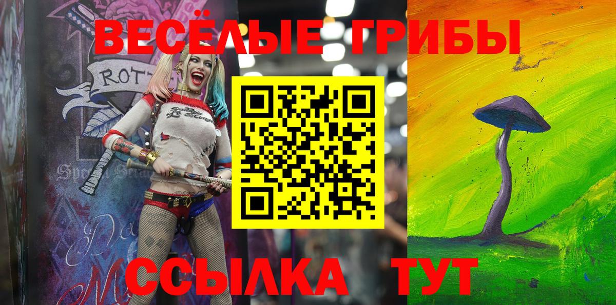 Псилоцибиновые грибы ЛСД  Вход с VPN  Ставрополь  Галлюциногенные грибы Psilocybe 