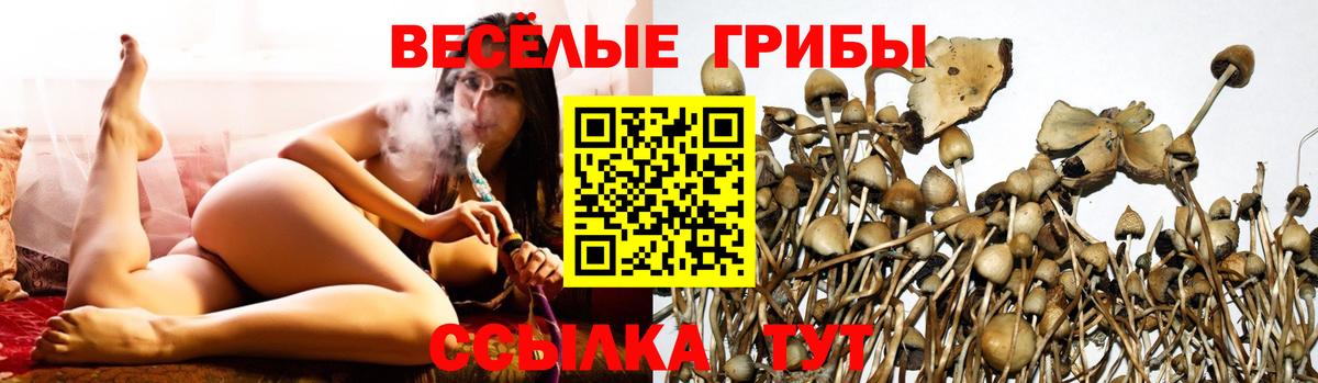 Галлюциногенные грибы ЛСД Ставрополь